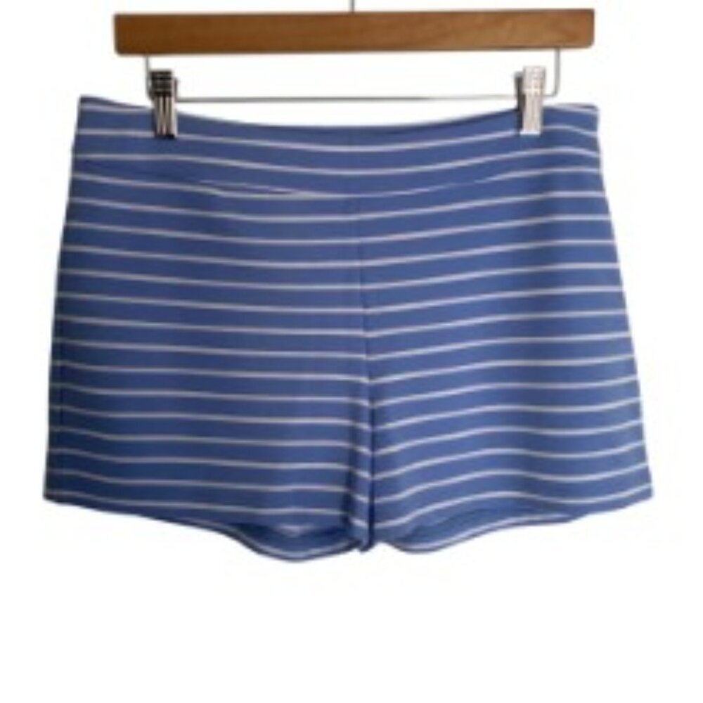 Sail to Sable Blue & White Striped Shorts 6